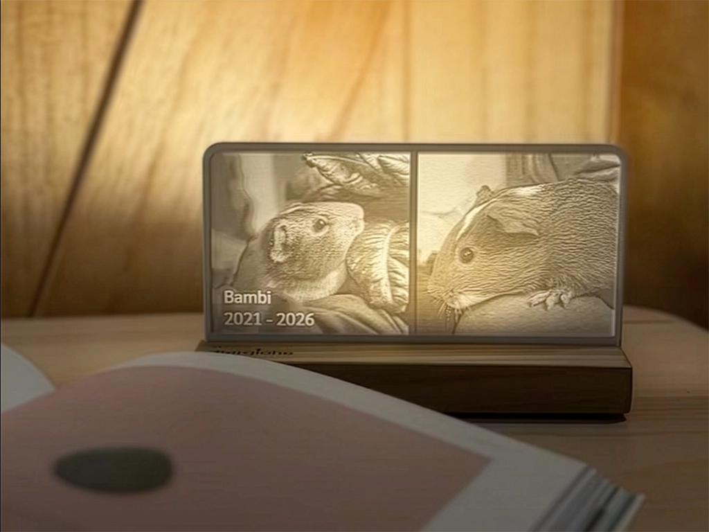StoryLine-Mini Personalized Photo Display illuminated by an LED remembering a beloved pet guinea pig.