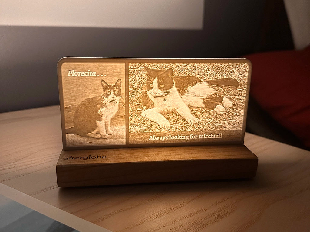 StoryLine-Mini Personalized Photo Display illuminated by an LED remembering a beloved pet cat.