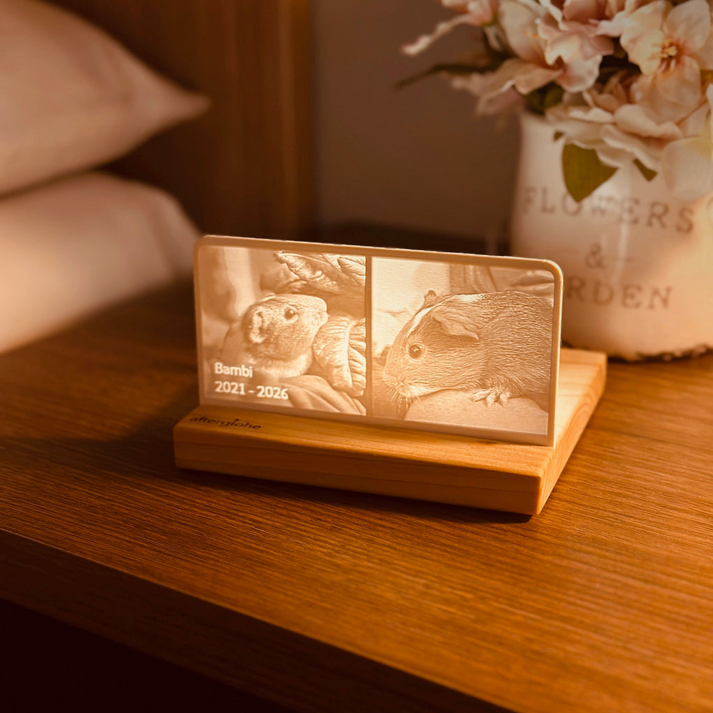 StoryLine-Mini lithophane Photo Display remembering a pet guinea pig.